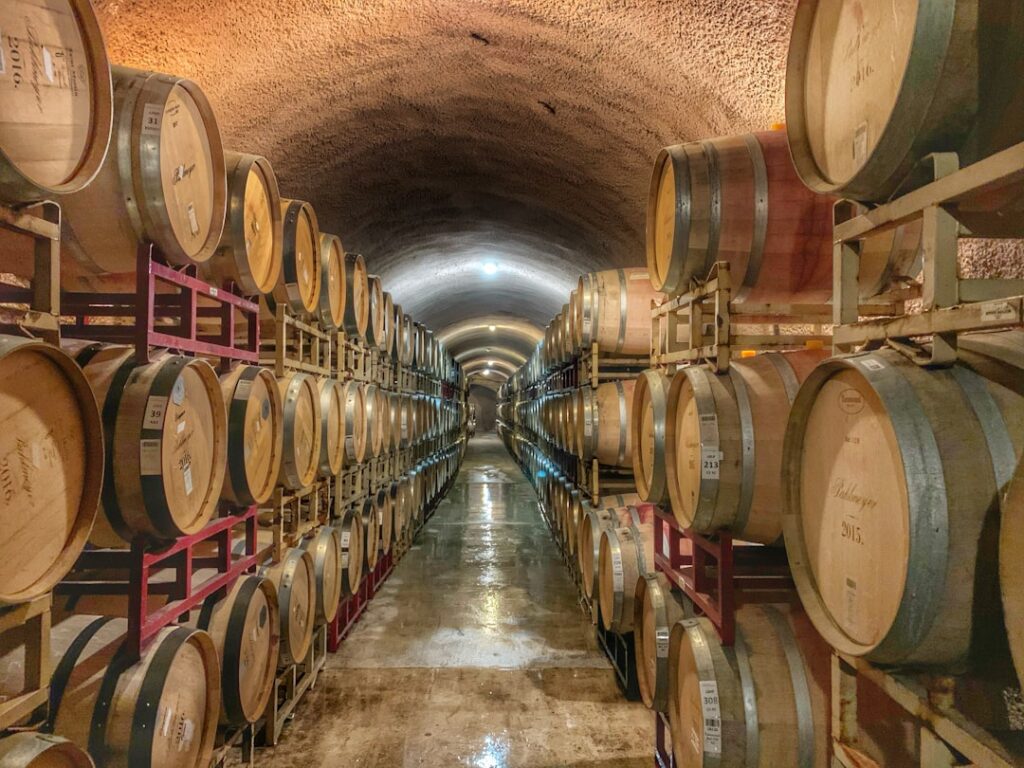 best wine vacations in the world