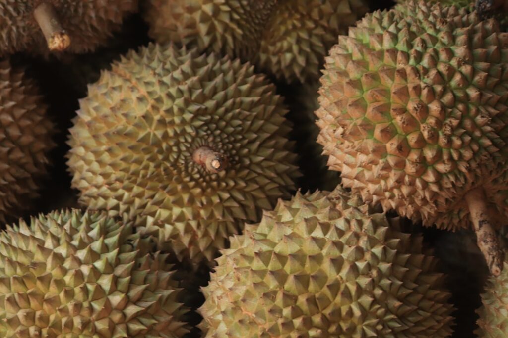 durian