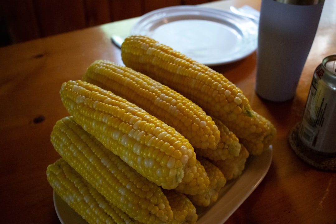 how long should corn on the cob boil