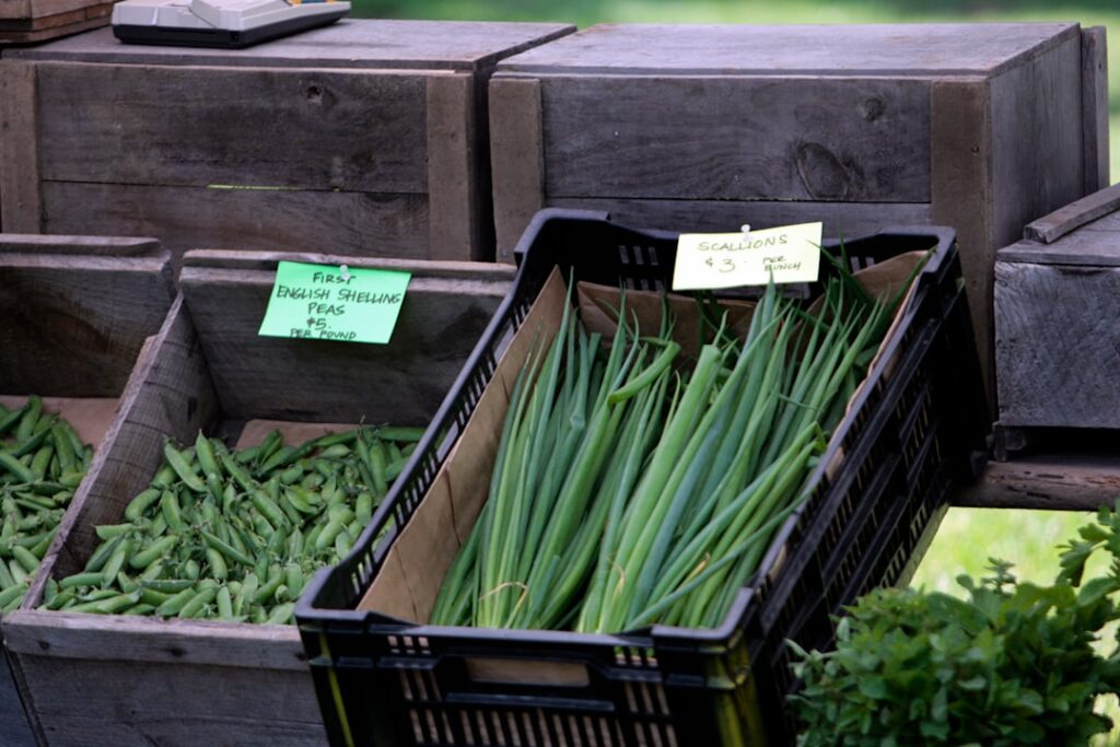 scallions