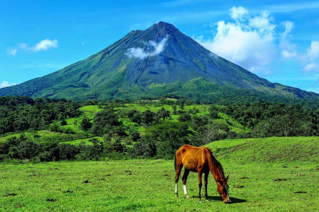 sustainable eco-tourism experiences in South America