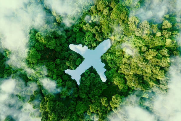 Eco-friendly travel tips for reducing carbon footprint