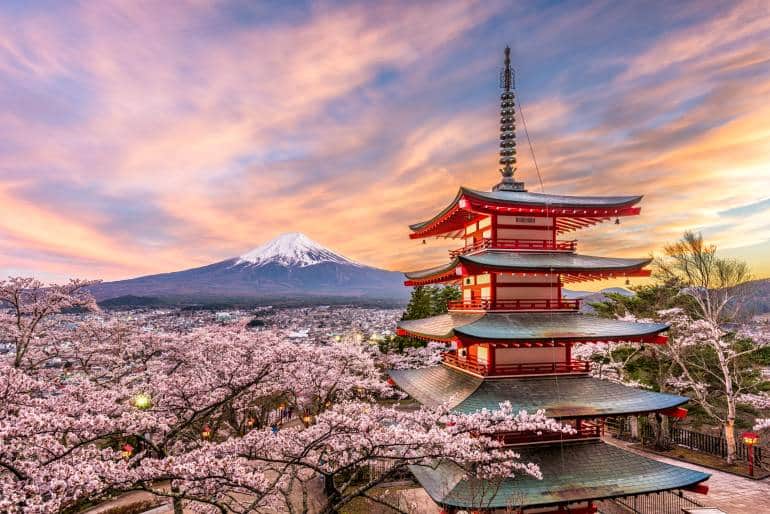 Best time to visit Japan for cherry blossom season