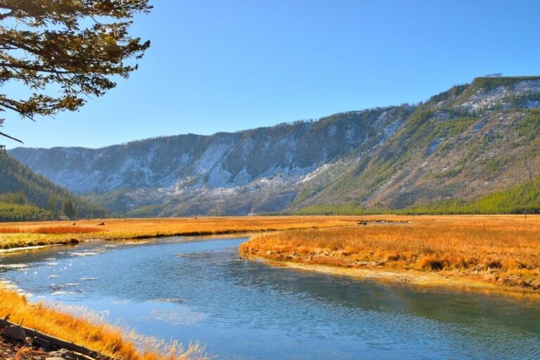best time to visit Yellowstone National Park for wildlife watching
